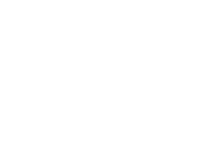 DIPAES